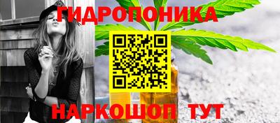 молекула духа Волжский