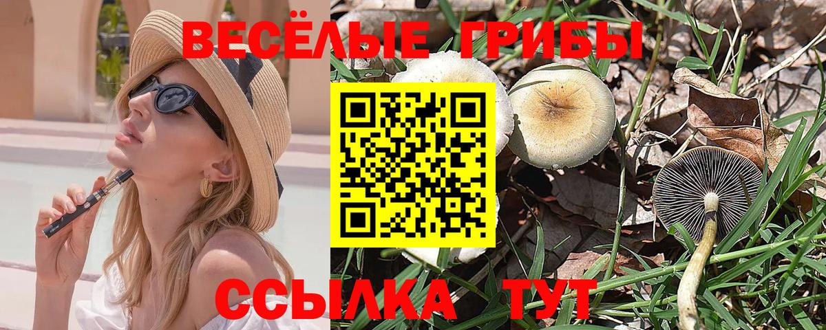 Белебей  Псилоцибиновые грибы GOLDEN TEACHER  Вход с VPN 