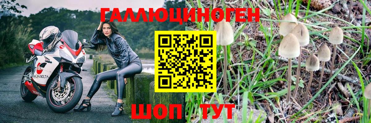 Галлюциногенные грибы Psilocybine cubensis Белебей